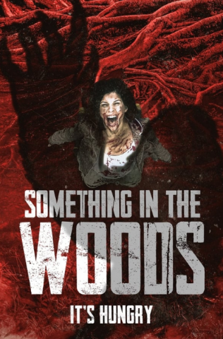 فيلم Something in the Woods 2022 مترجم اونلاين