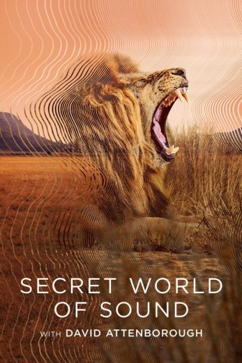 مسلسل Secret World of Sound with David Attenborough الحلقة 3 الاخيرة مترجمة