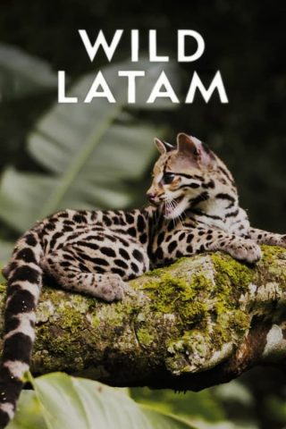 مسلسل Wild Latam كامل – الموسم الاول