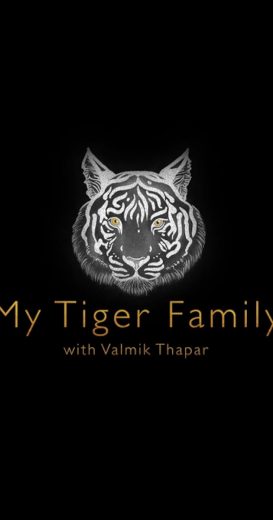 فيلم My Tiger Family 2024 مترجم