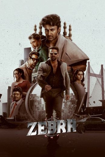 فيلم Zebra 2024 مترجم